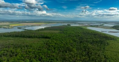 Expansão da Conservação da Amazônia Avança no Brasil
